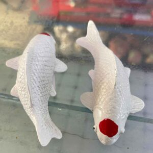 TƯỢNG CÁ KOI