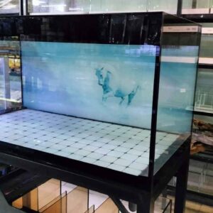 HỒ CÔNG NGHỆ 1M2X60X60