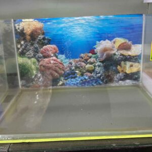 HỒ 30X20