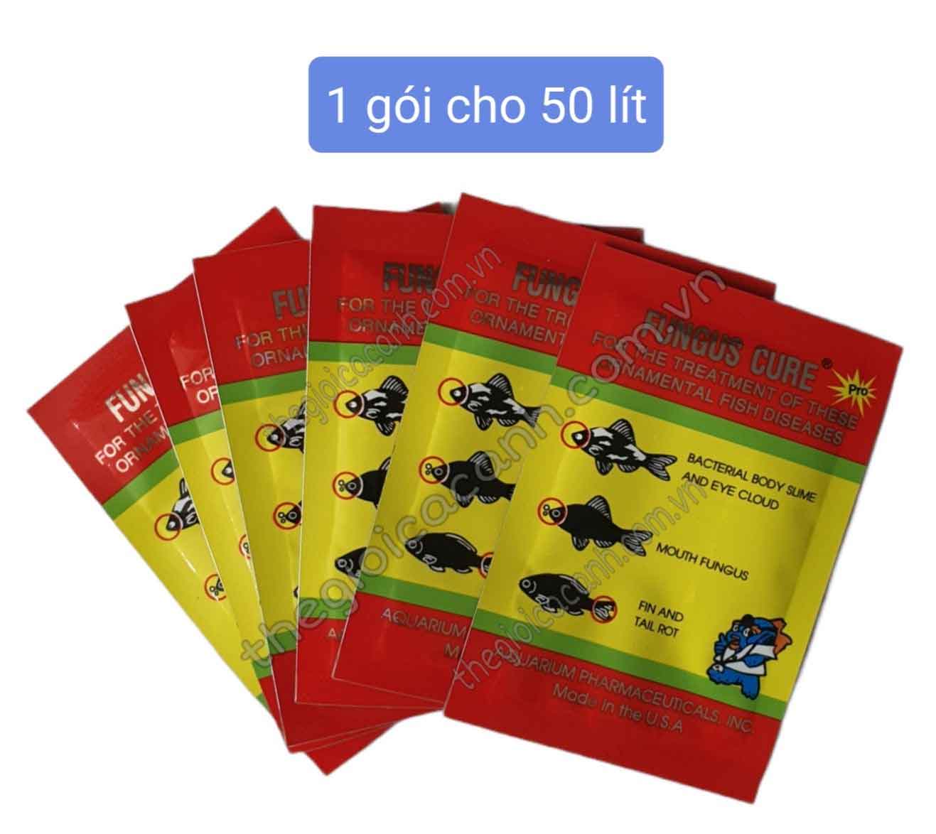 FUNGUS CURE HỖ TRỢ CHO CÁ CẢNH