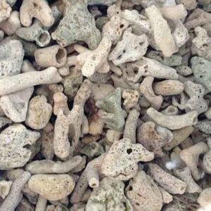 SAN HÔ LỌC NƯỚC 1KG