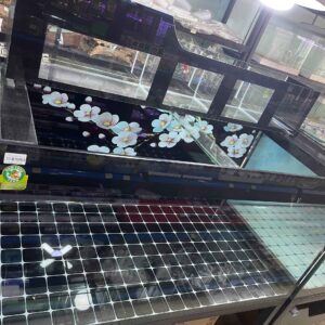 HỒ CÔNG NGHỆ LỌC TRÀN TRÊN 120X60X60 KÍNH 10LY CÓ KIỀNG
