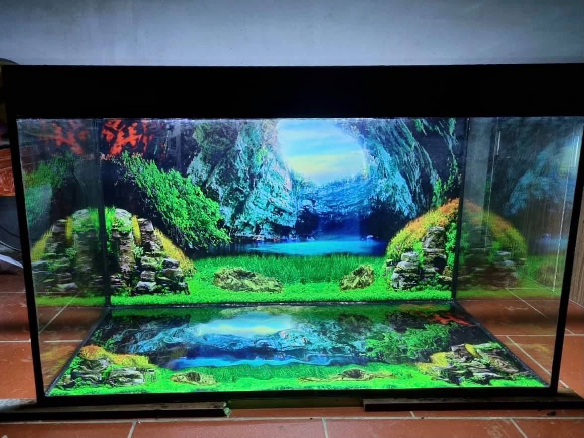tranh 3D bể cá cảnh tại Hà Nội chất lượng thường được sử dụng các chất liệu Decal để mang đến một chất lượng ảnh tốt nhất cho ánh sáng cũng như tạo nên một chiều sâu cho bể cá, hiện nay các loại tranh 3D cho bể cá cảnh đều được sử dụng cho nhiều loại cá khác nhau cũng như phù hợp với từng loại bể cá.