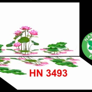 TRANH 3D DÁN HỒ
